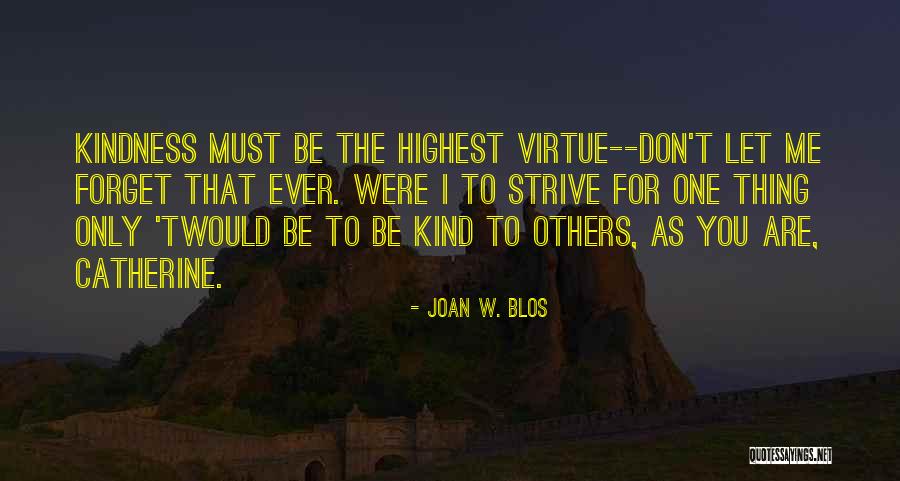 Don't Let Others Quotes By Joan W. Blos