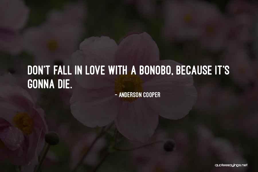 Dont Let Our Love Die Quotes By Anderson Cooper