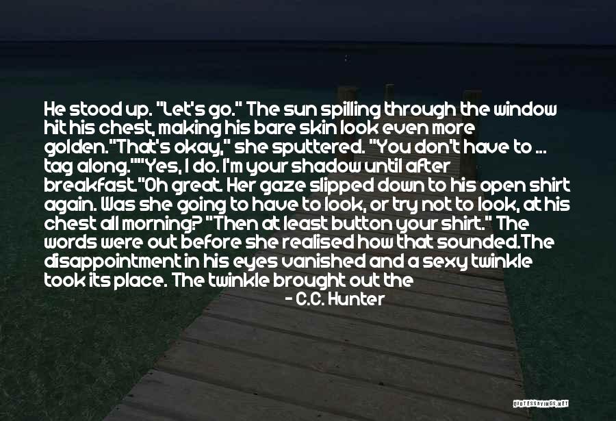 Don't Let The Sun Go Down On Me Quotes By C.C. Hunter