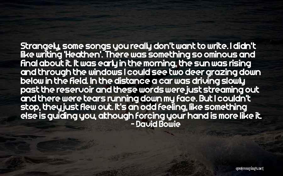 Don't Let The Sun Go Down On Me Quotes By David Bowie