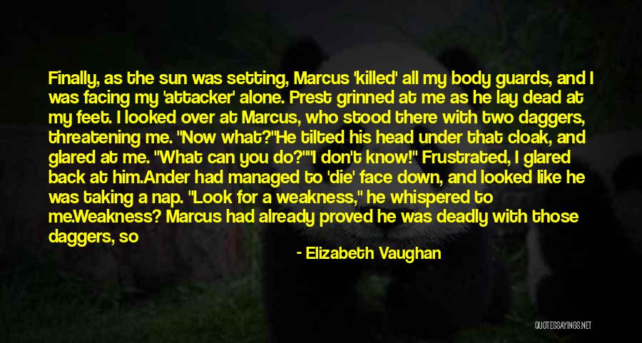 Don't Let The Sun Go Down On Me Quotes By Elizabeth Vaughan