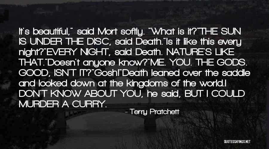 Don't Let The Sun Go Down On Me Quotes By Terry Pratchett