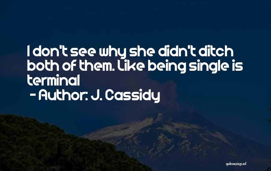 Don't Like Being Single Quotes By J. Cassidy