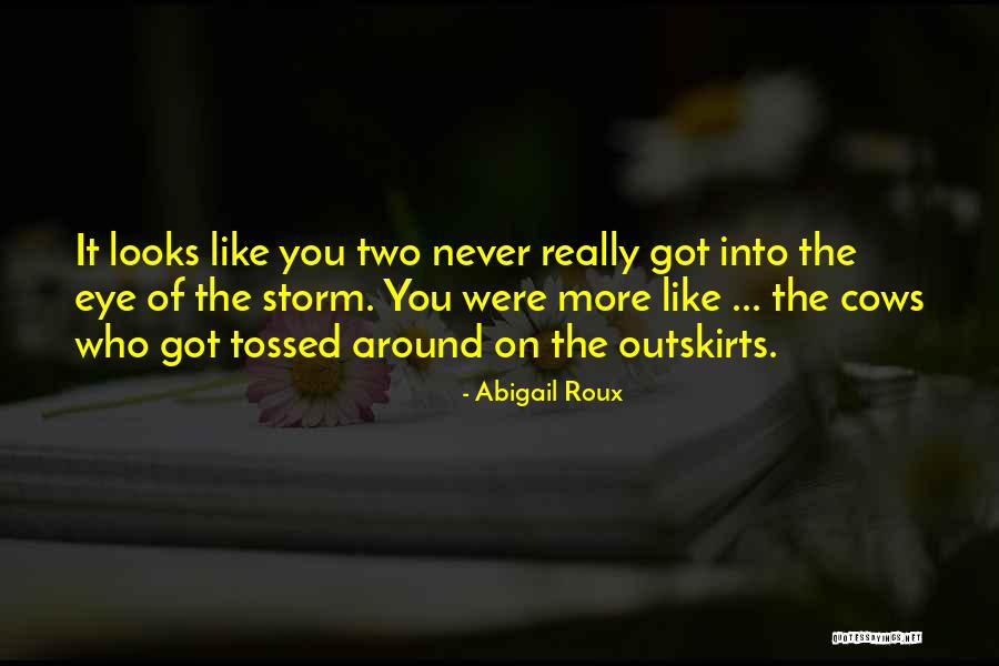 Dont Like Liars Quotes By Abigail Roux Dont Like Liars Quotes By Abigail Roux