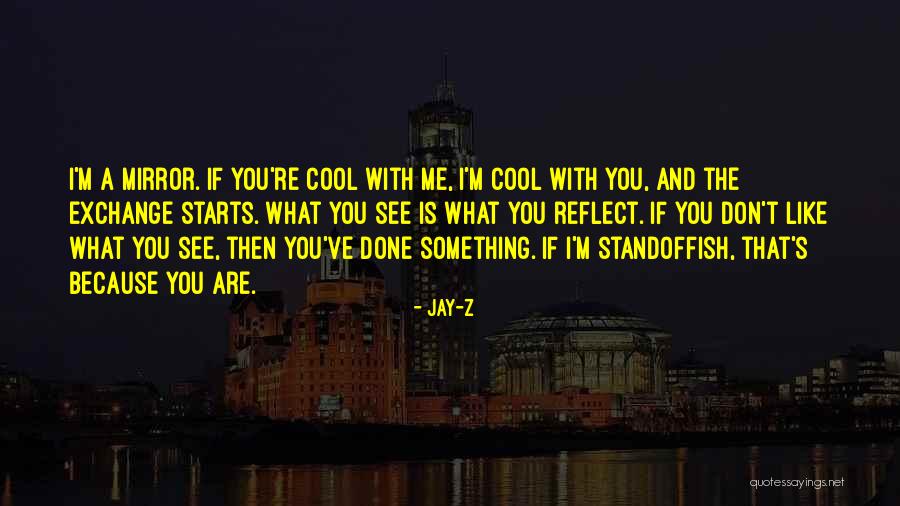 Don't Like Me Cool Quotes By Jay-Z