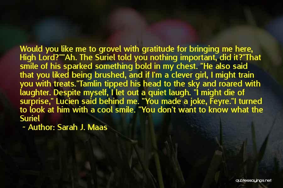 Don't Like Me Cool Quotes By Sarah J. Maas Don't Like Me Cool Quotes By Sarah J. Maas