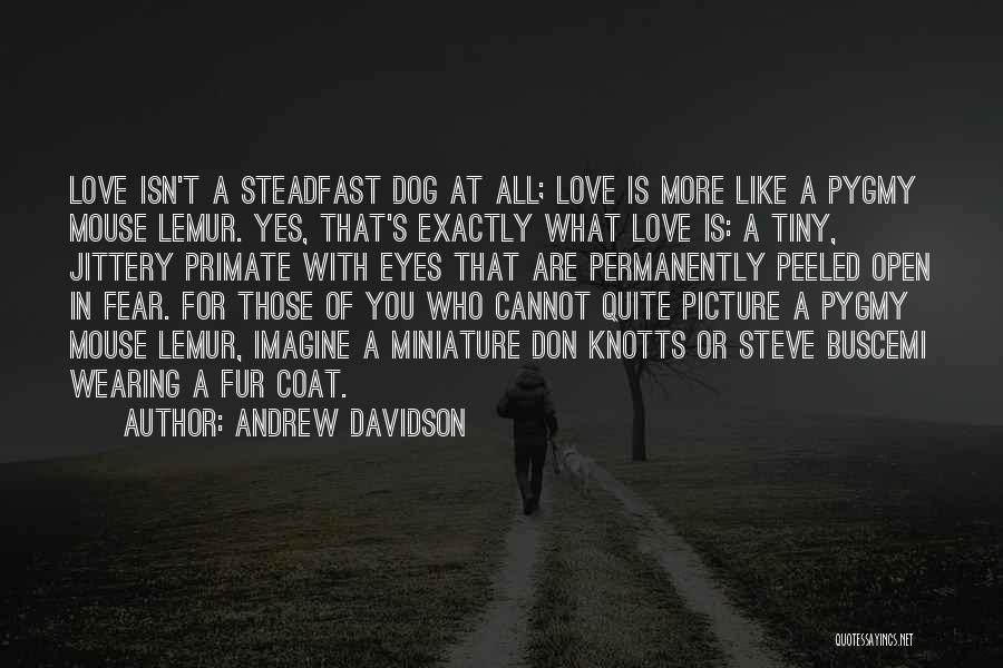 Don't Like Picture Quotes By Andrew Davidson