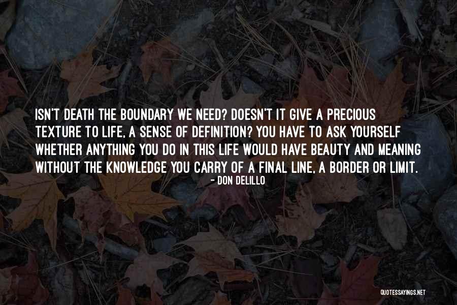 Don't Limit Yourself Quotes By Don DeLillo Don't Limit Yourself Quotes By Don DeLillo