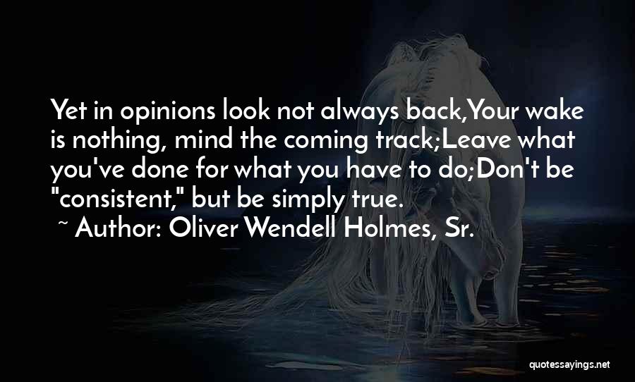 Don't Look Back Look Forward Quotes By Oliver Wendell Holmes, Sr.