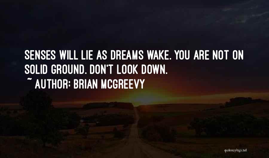 Don't Look Down On Yourself Quotes By Brian McGreevy