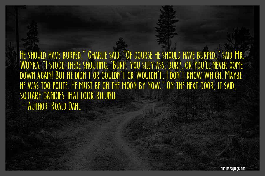 Don't Look Down On Yourself Quotes By Roald Dahl