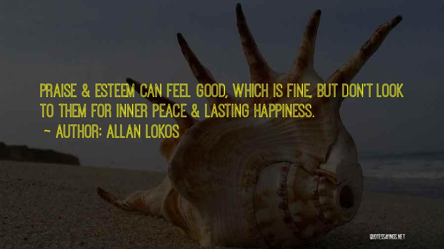 Don't Look For Happiness Quotes By Allan Lokos