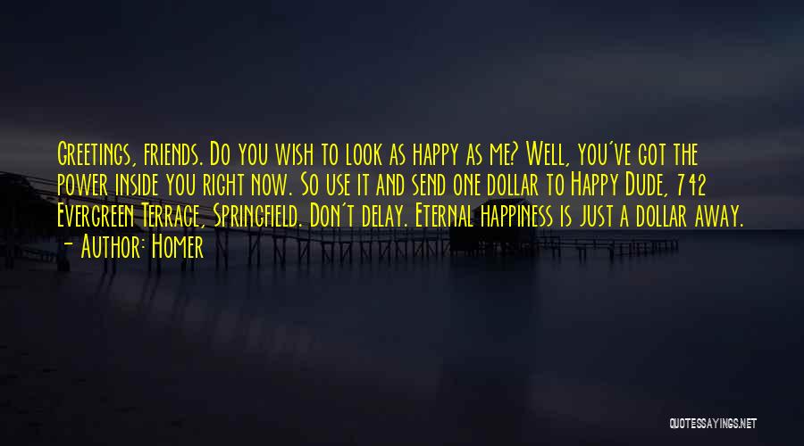 Don't Look For Happiness Quotes By Homer