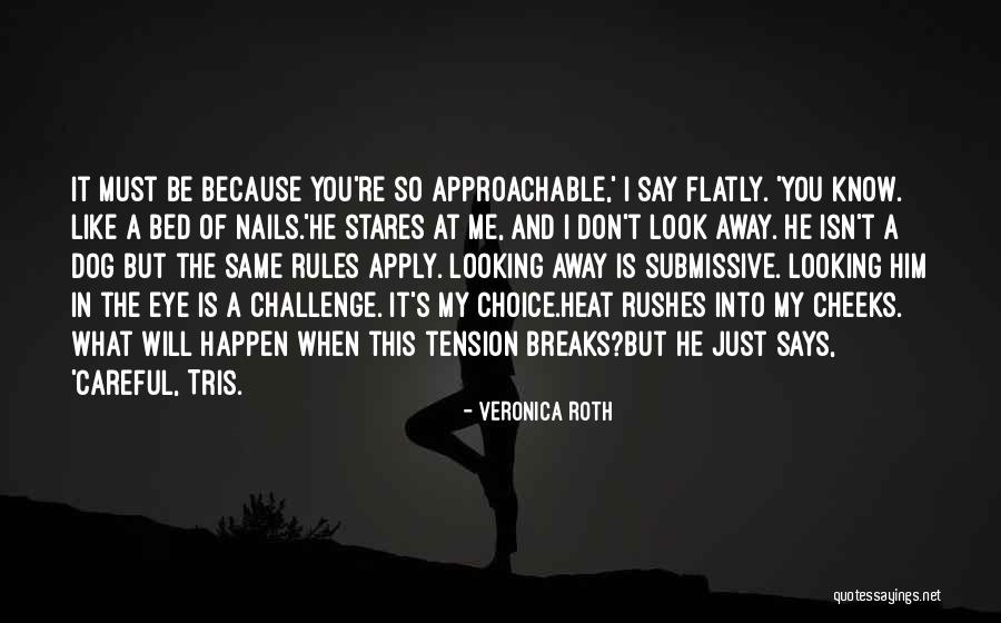 Don't Look Me In The Eye Quotes By Veronica Roth