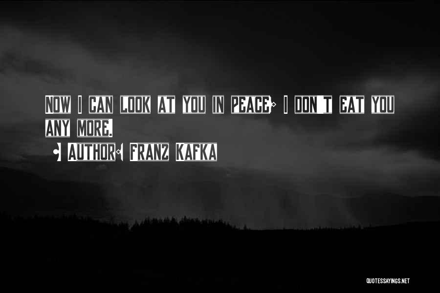 Don't Look Now Quotes By Franz Kafka