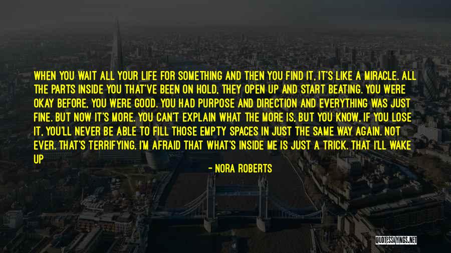 Don't Lose Hope In Life Quotes By Nora Roberts