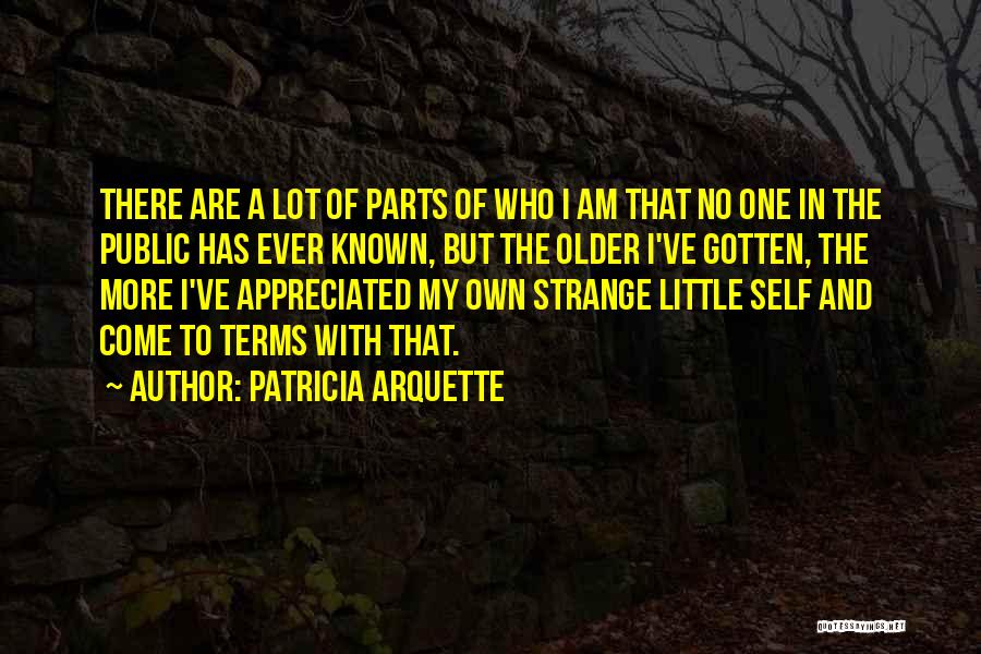 Dont Lose Me Quotes By Patricia Arquette