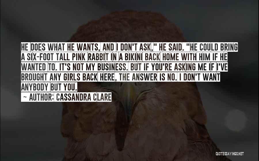 Don't Love Anybody Quotes By Cassandra Clare