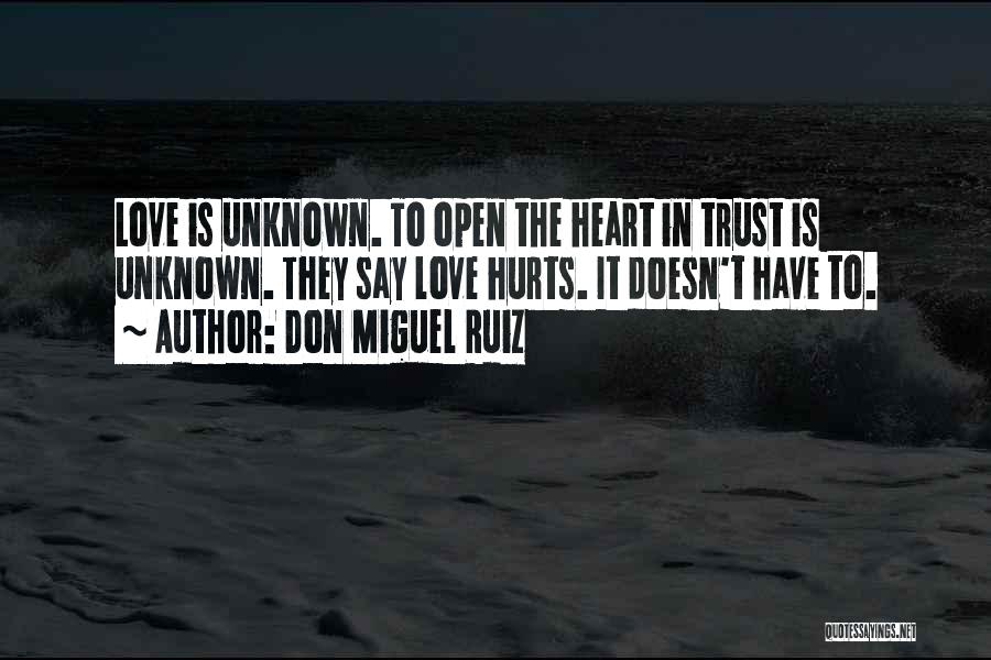 Don't Love It Hurts Quotes By Don Miguel Ruiz