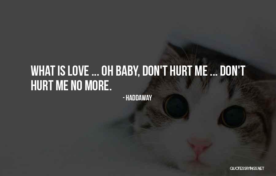 Don't Love Me No More Quotes By Haddaway