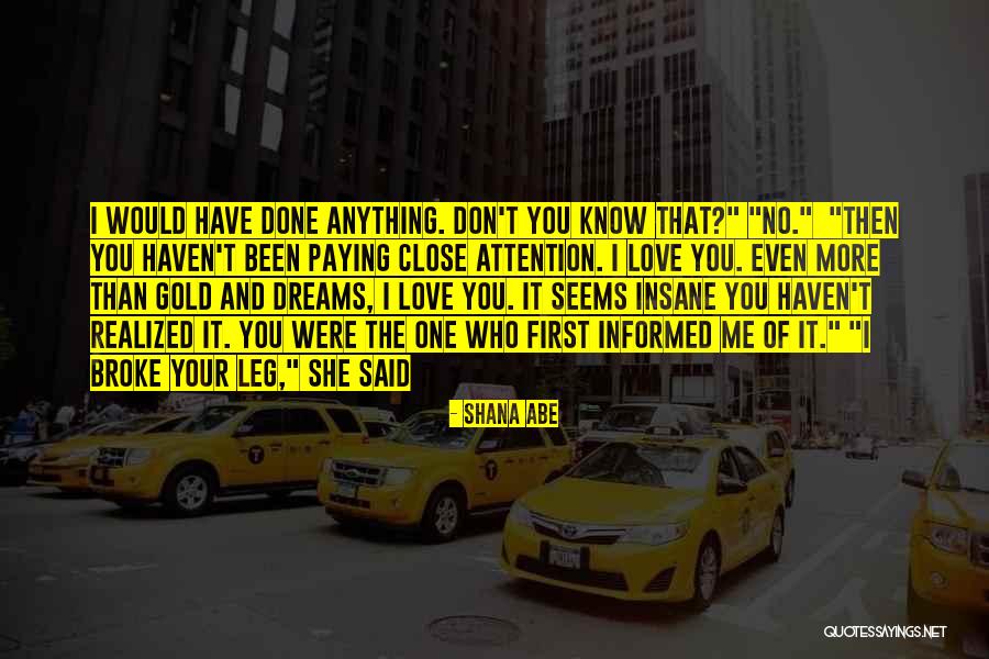 Don't Love Me No More Quotes By Shana Abe Don't Love Me No More Quotes By Shana Abe