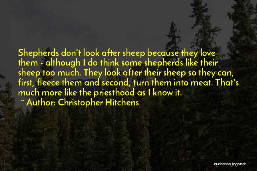 Don't Love So Much Quotes By Christopher Hitchens