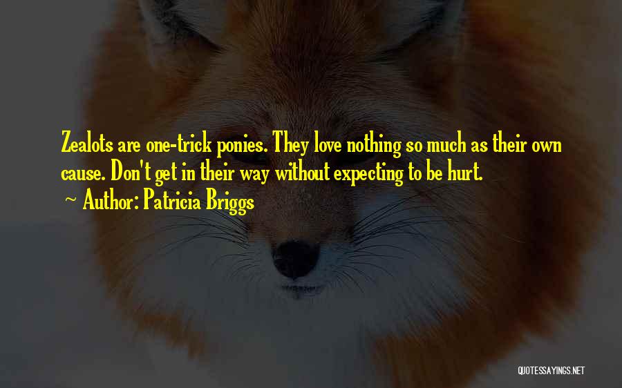 Don't Love So Much Quotes By Patricia Briggs