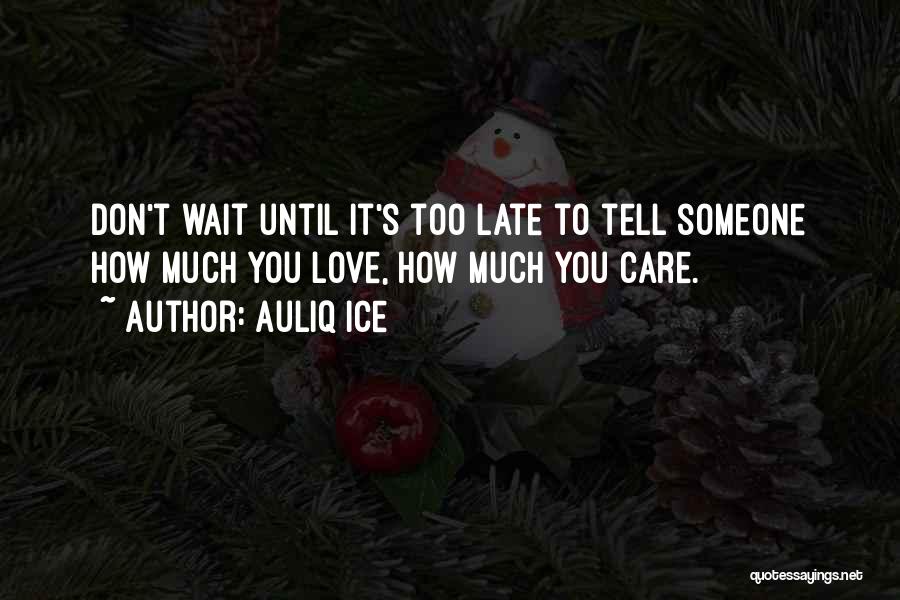 Don't Love Too Much Quotes By Auliq Ice