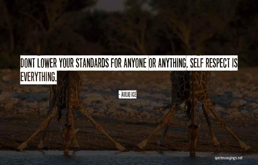 Dont Lower Your Standards Quotes By Auliq Ice Dont Lower Your Standards Quotes By Auliq Ice