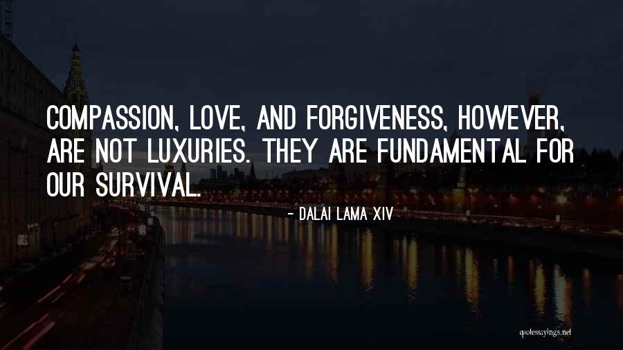 Dont Make Promises You Cant Keep Quotes By Dalai Lama XIV Dont Make Promises You Cant Keep Quotes By Dalai Lama XIV