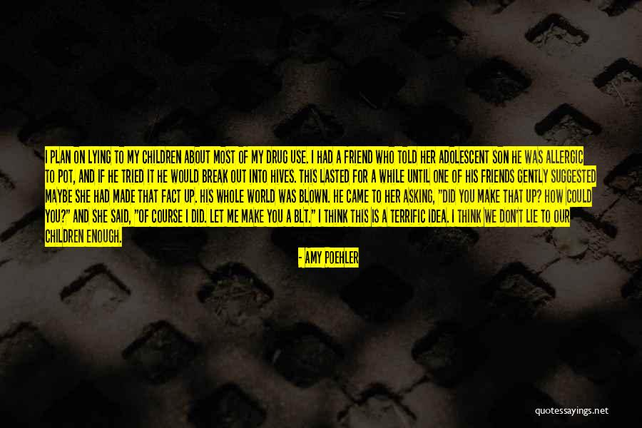 Don't Make Use Of Me Quotes By Amy Poehler Don't Make Use Of Me Quotes By Amy Poehler