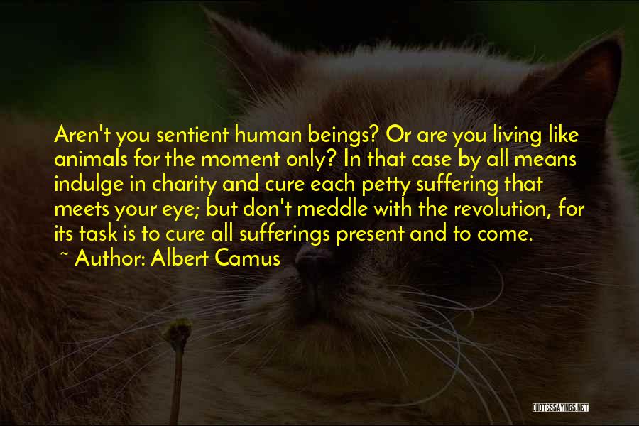 Don't Meddle Quotes By Albert Camus