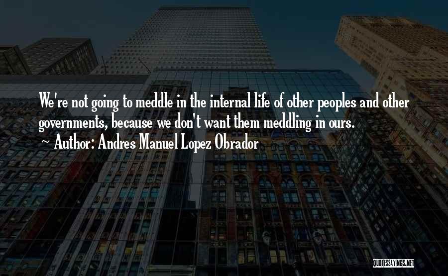 Don't Meddle Quotes By Andres Manuel Lopez Obrador