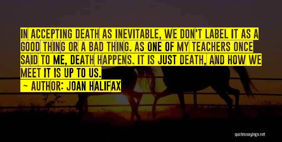 Don't Meet Me Quotes By Joan Halifax