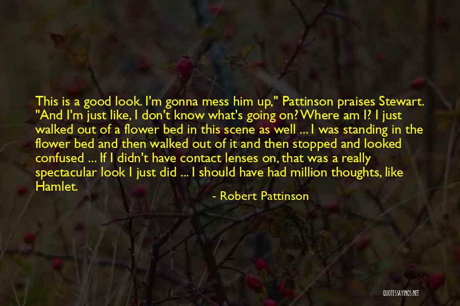 Don't Mess Up A Good Thing Quotes By Robert Pattinson