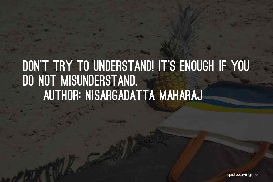 Don't Misunderstand Me Quotes By Nisargadatta Maharaj