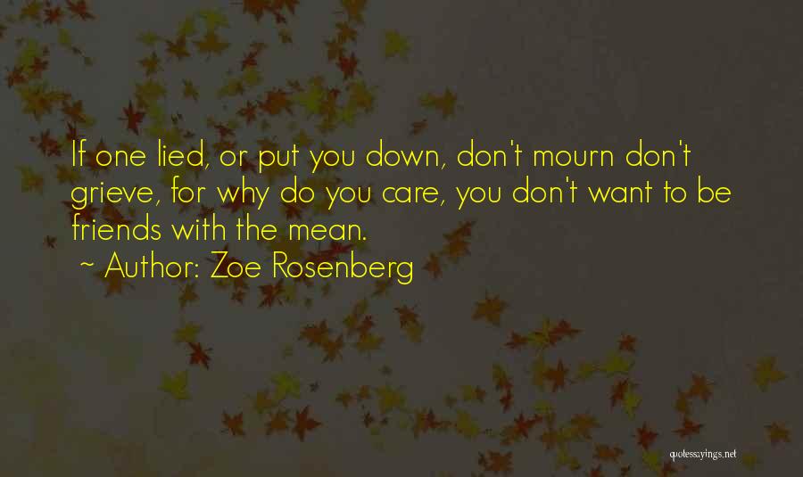 Don't Mourn Quotes By Zoe Rosenberg