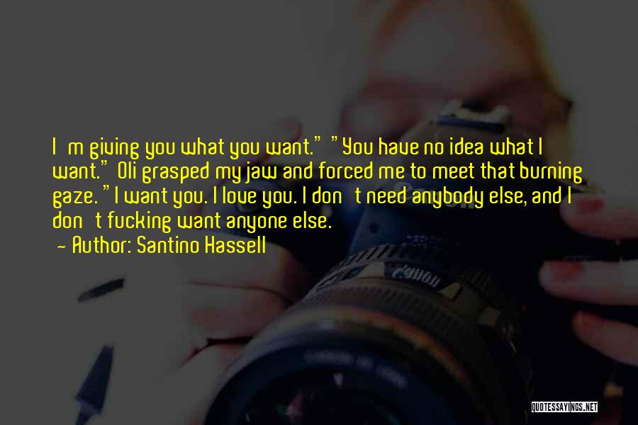 Don't Need Anyone Else Quotes By Santino Hassell