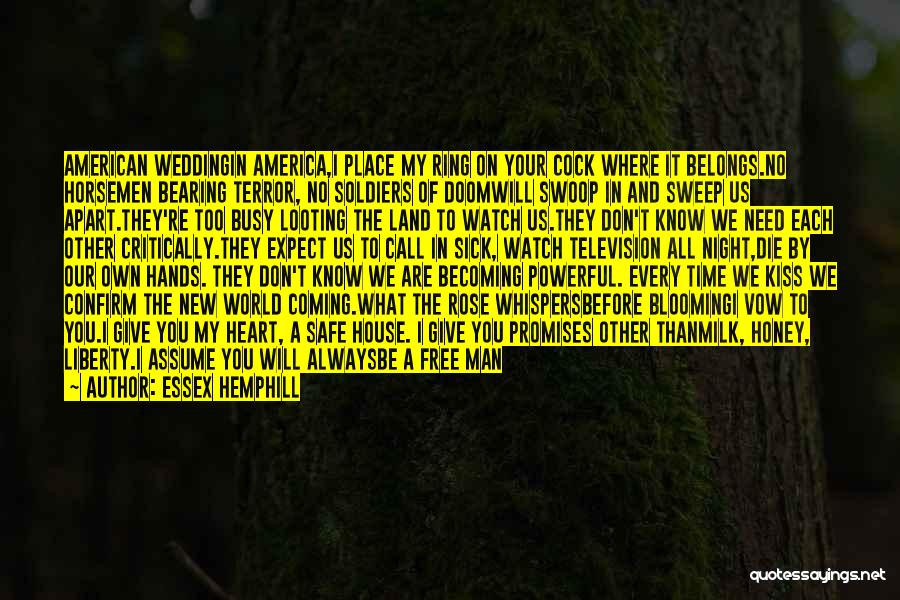 Don't Need Your Man Quotes By Essex Hemphill