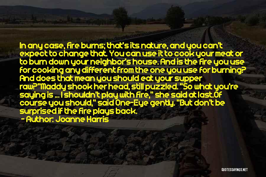 Don't Play Fire Quotes By Joanne Harris