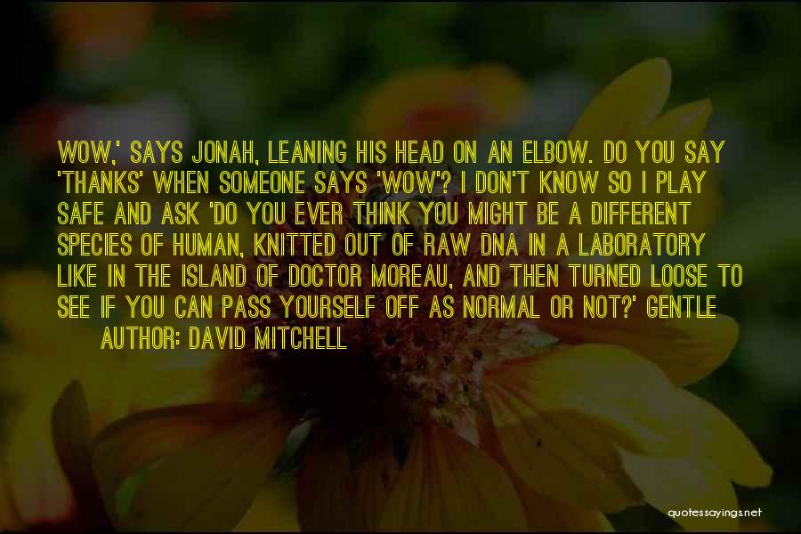 Don't Play It Safe Quotes By David Mitchell