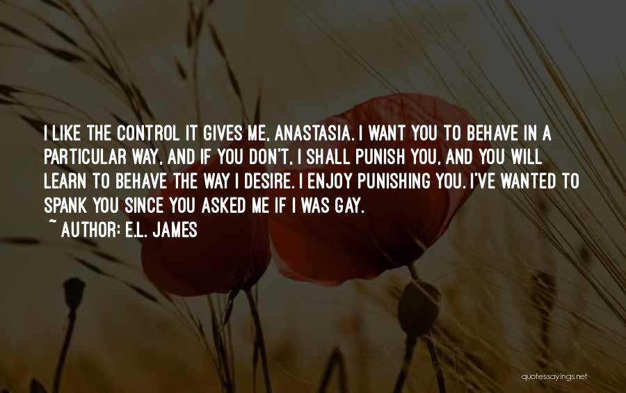 Don't Punish Me Quotes By E.L. James