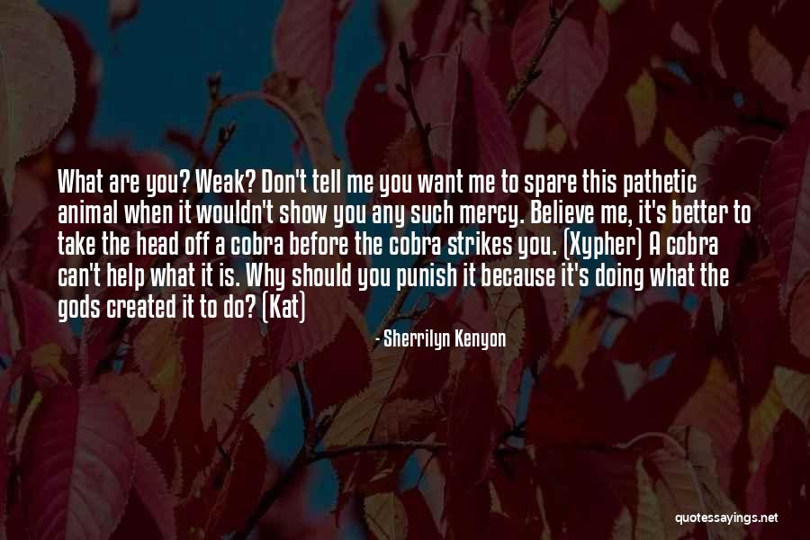 Don't Punish Me Quotes By Sherrilyn Kenyon