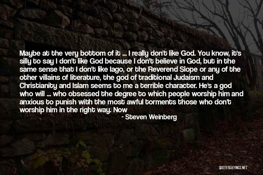 Don't Punish Me Quotes By Steven Weinberg