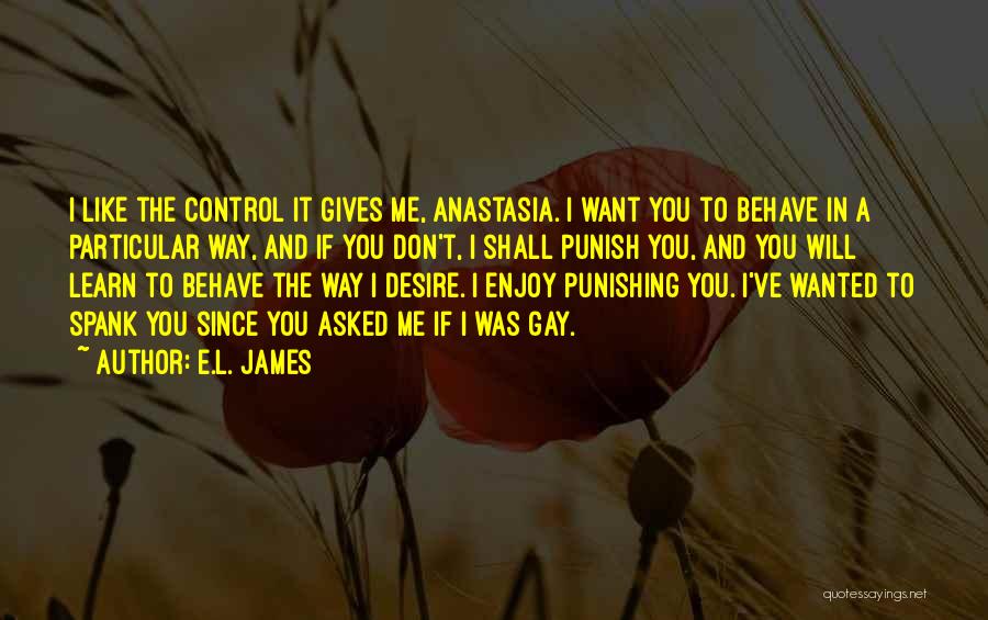 Don't Punish Quotes By E.L. James