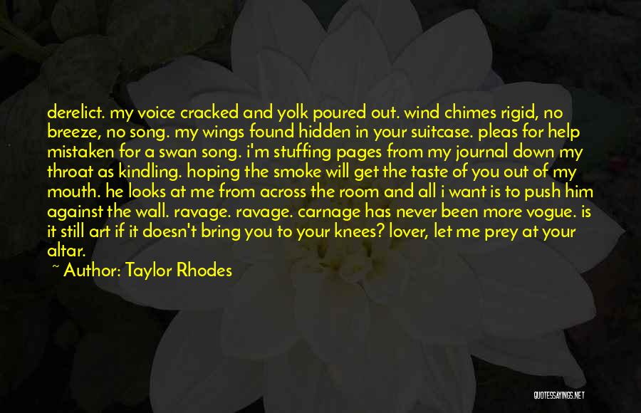 Don't Push Me Down Quotes By Taylor Rhodes