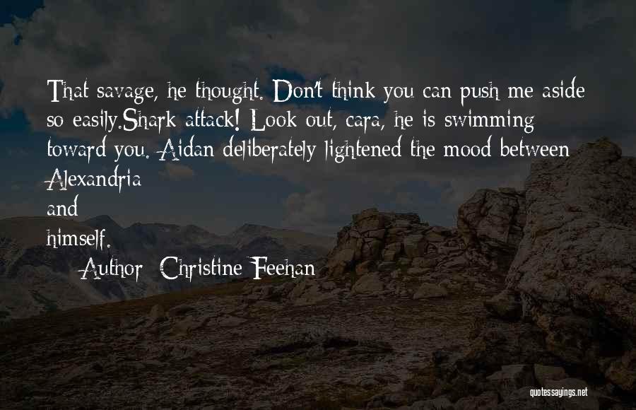 Don't Push Me Quotes By Christine Feehan