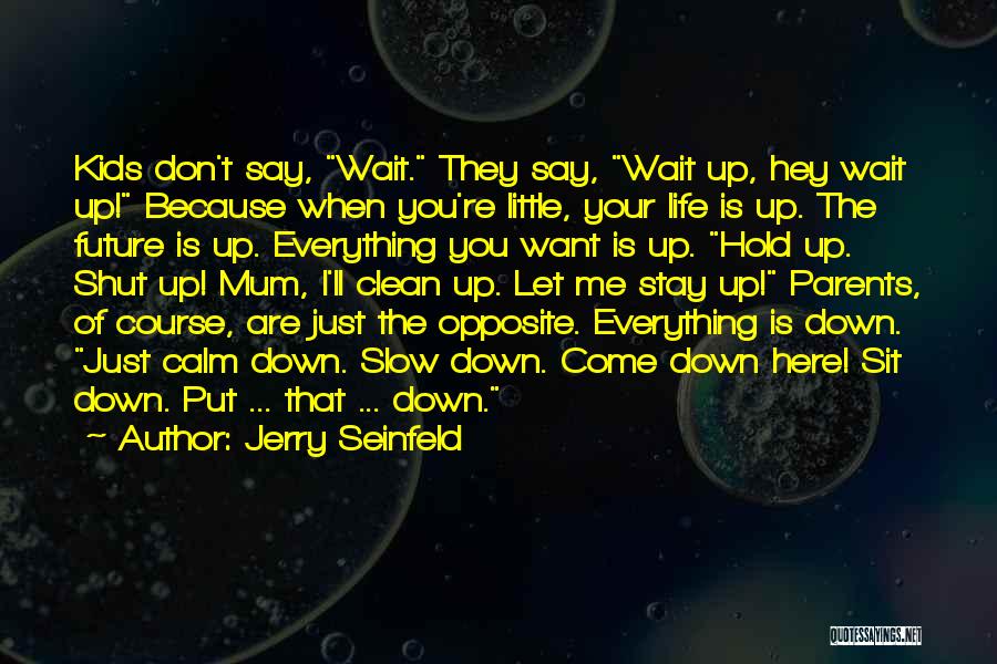 Don't Put Your Life On Hold Quotes By Jerry Seinfeld