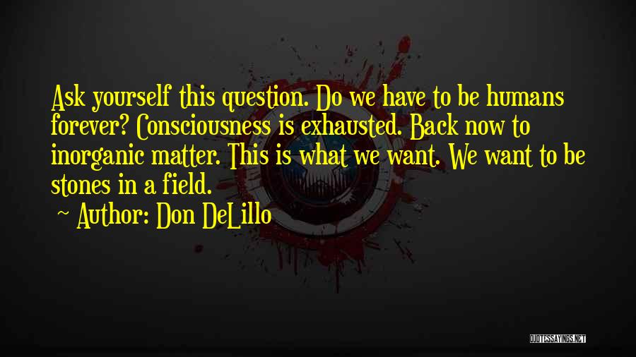 Don't Question Yourself Quotes By Don DeLillo