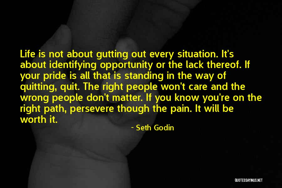 Don't Quit Quotes By Seth Godin Don't Quit Quotes By Seth Godin